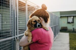 Woman holding a rescued dog at an animal shelter, symbolizing Texas animal cruelty laws